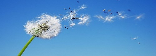 Allergologia